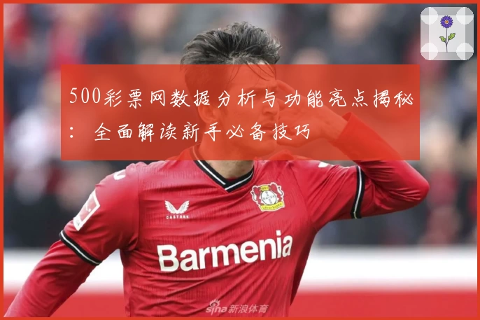 500彩票网数据分析与功能亮点揭秘：全面解读新手必备技巧