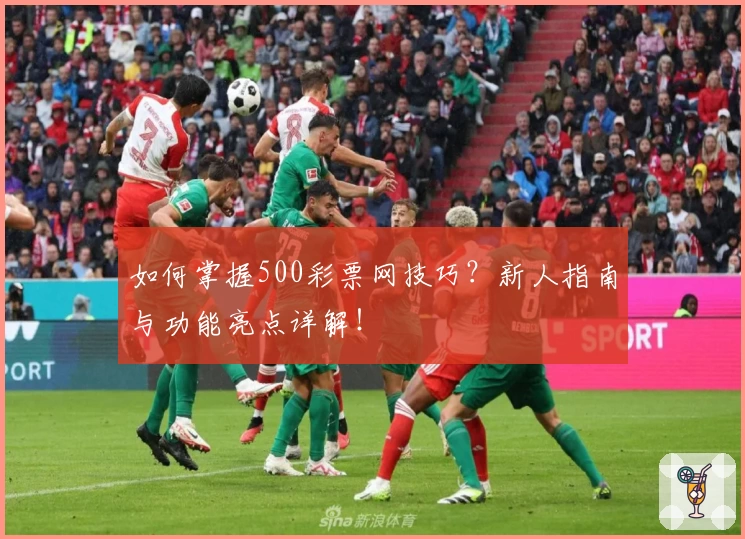 如何掌握500彩票网技巧？新人指南与功能亮点详解！